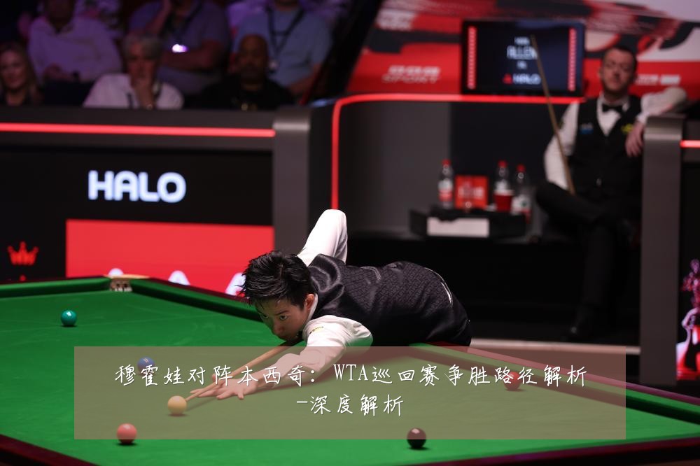 穆霍娃对阵本西奇：WTA巡回赛争胜路径解析-深度解析